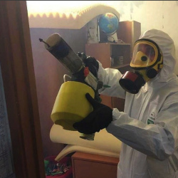 Уничтожение клопов в квартире. Гражданский проспект